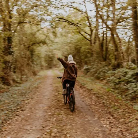 펜션 Parcel Tiny House I Ferme De Beaulieu