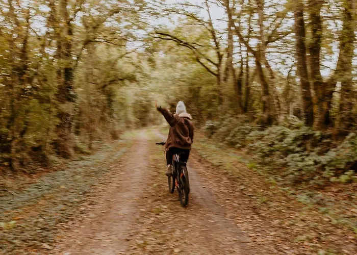 Ferienhaus Parcel Tiny House I Ferme De Beaulieu